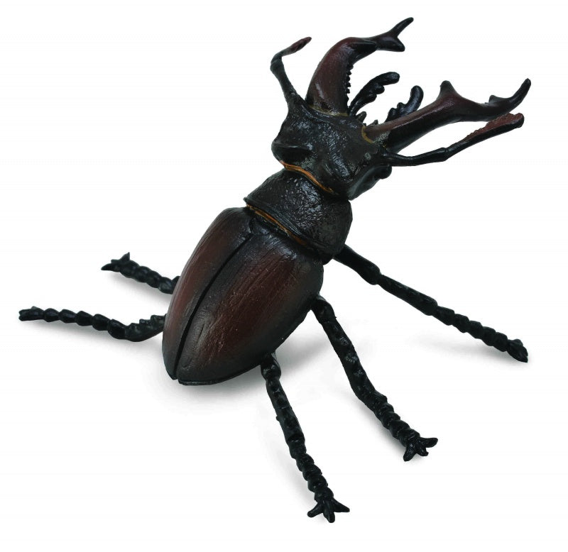 CollectA - Insects & Spiders - Stag Beetle