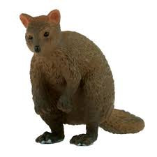 Animals of Australia - Small Quokka