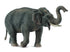 CollectA - Wildlife - Asian Elephant