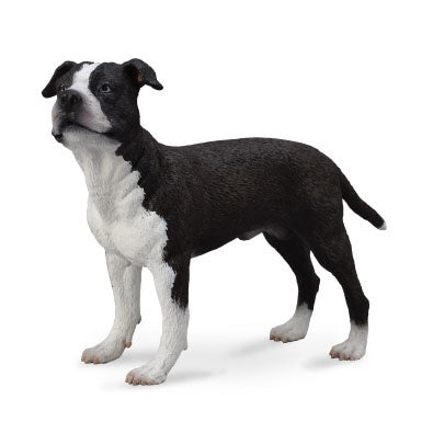 CollectA - Dog - American Staffordshire Terrier