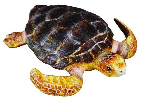 CollectA - Ocean - Loggerhead Turtle