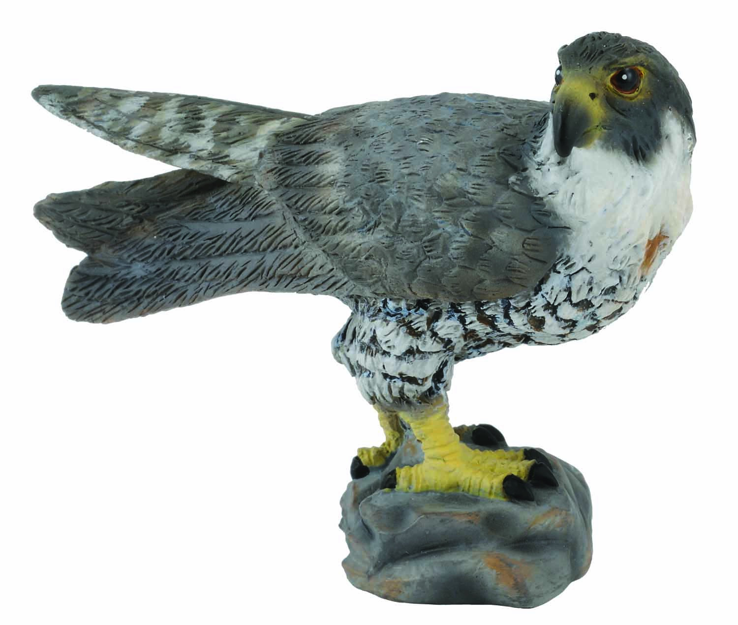 CollectA - Wildlife - Peregrine Falcon