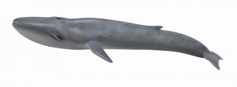 CollectA - Ocean-  Blue Whale (XL)
