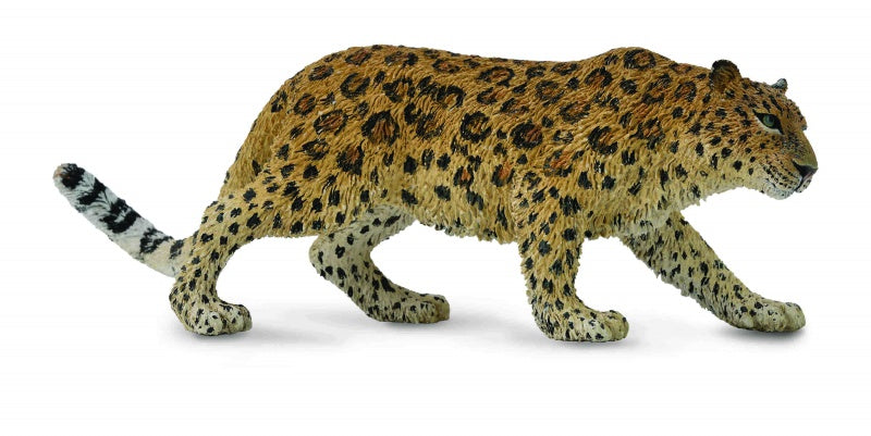 CollectA - Wildlife -  Amur Leopard