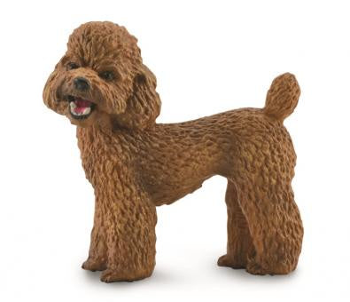 CollectA - Dog - Poodle