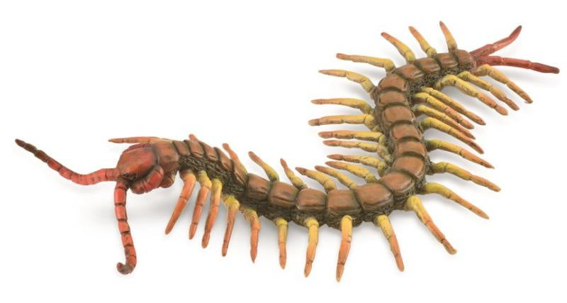 CollectA - Insects & Spiders - Centipede