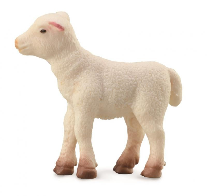 CollectA - Farm - Lamb Standing