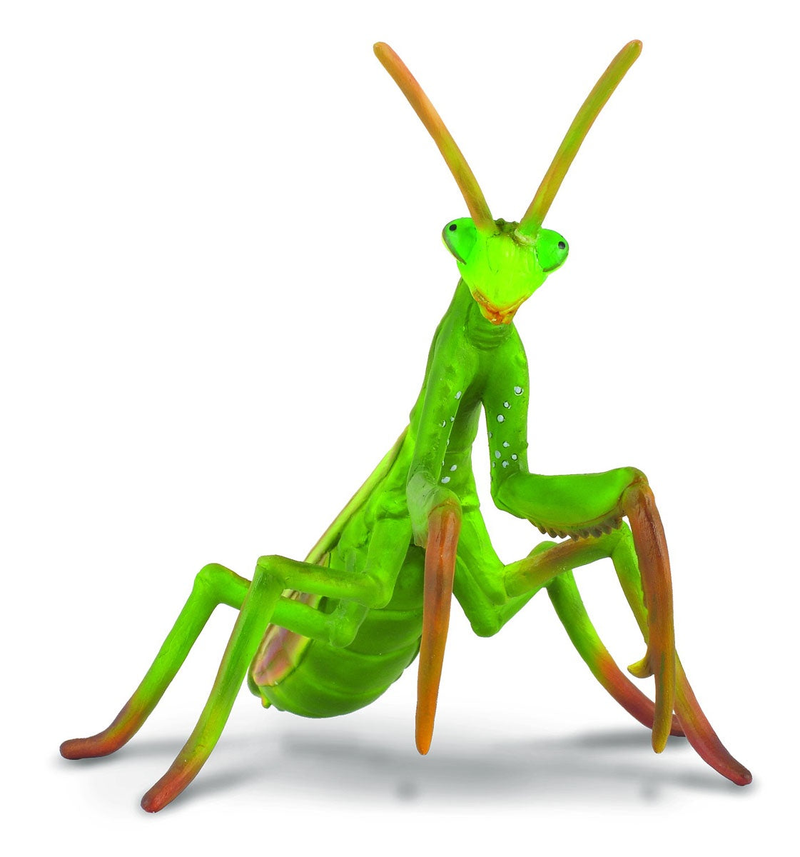 CollectA - Insects & Spiders - Praying Mantis