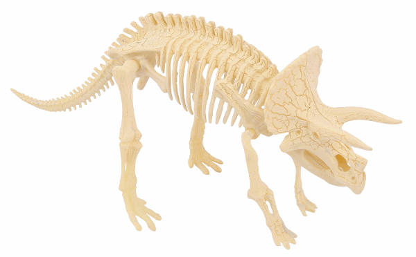 HEEBIE JEEBIES Paleontology Kit Triceratops