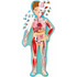 Sassi Travel, Learn and Explore - The Human Body Puzzle 200pc