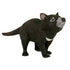 Animals of Australia - Small Tasmanian Devil