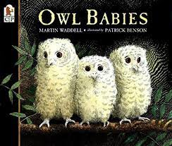 Owl Babies - 25th Anniversary Edition - Paperback
