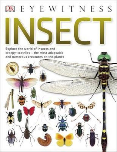 DK Eyewitness - Insect -  - Paperback
