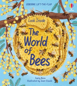 Look Inside The World of Bees - Board Book