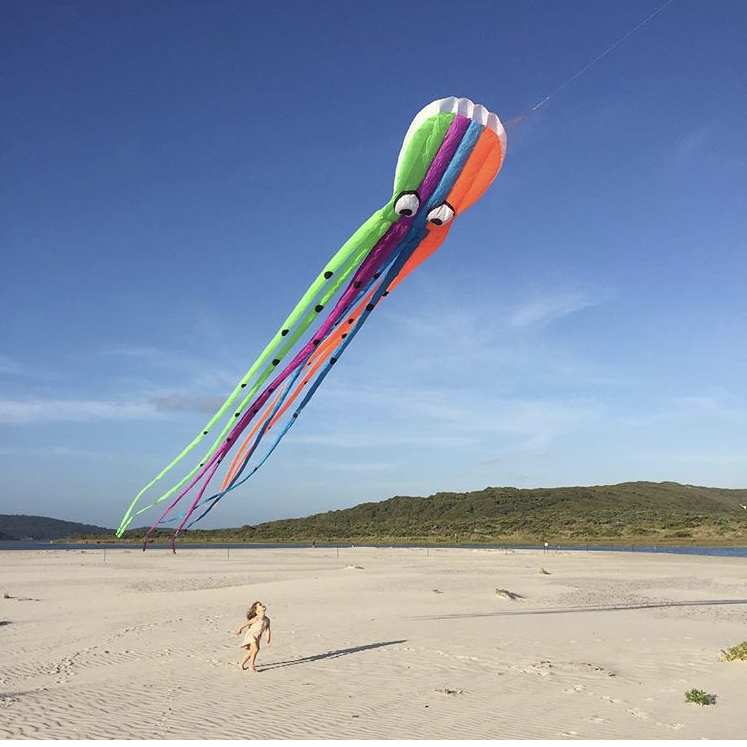 High as a Kite - Inflatable Octopus - Kite