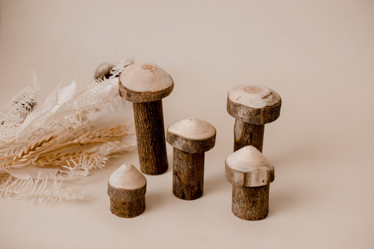 Qtoys - Tree Mushroom Set of 5 - Wooden