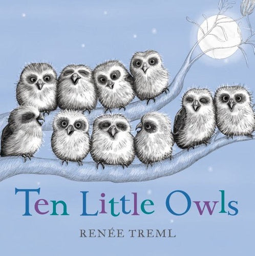 Ten Little Owls - Board Book