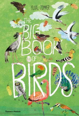 The Big Book of Birds - The Big Book Series - Hardback