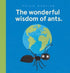 The Wonderful Wisdom of Ants - Hardback