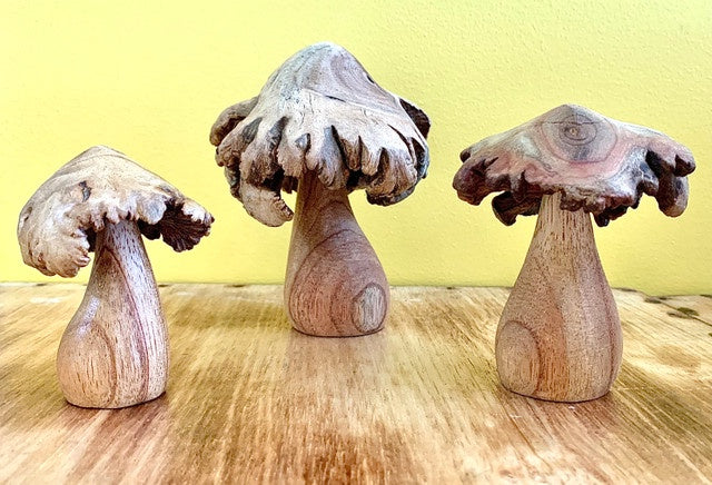 PAPOOSE - Wood Rose Mushrooms - Set of 3